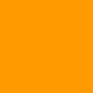 Neon Orange - POC Paint