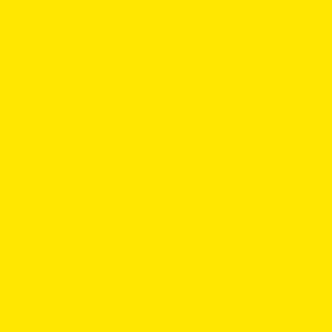 Neon Yellow - POC Paint