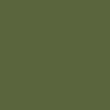 Load image into Gallery viewer, Old Army Green - POC Paint